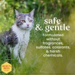 Burt's Bees for Cats Hypoallergenic Cat Shampoo with Shea Butter & Honey | Best Shampoo for Cats with Dry or Sensitive Skin | Cruelty Free, Sulfate & Paraben Free, pH Balanced for Cats - 10 Fl Oz