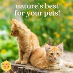 Burt's Bees for Cats Hypoallergenic Cat Shampoo with Shea Butter & Honey | Best Shampoo for Cats with Dry or Sensitive Skin | Cruelty Free, Sulfate & Paraben Free, pH Balanced for Cats - 10 Fl Oz