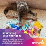SmartyKat Sisal Angle Cat Scratch Ramp, Includes Catnip - Natural, One Size, Tan