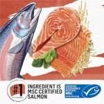 Limited Ingredient Salmon Cat Food - 3lb