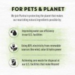 Limited Ingredient Salmon Cat Food - 3lb