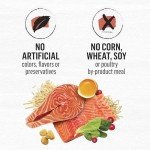 Limited Ingredient Salmon Cat Food - 3lb