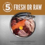 ORIJEN® Original Cat Food: High-Protein, Fresh & Premium