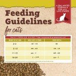 Organic Turkey & Liver Cat Food - 3lb