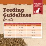 Antibiotic-Free Turkey Cat Food, 3 lb