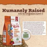 Antibiotic-Free Turkey Cat Food, 3 lb