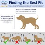 Blue Hard-Sided Pet Carrier for Tiny Breeds