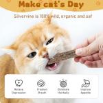 Natural Silvervine Catnip Chew Sticks (12+ pcs)