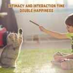 Natural Silvervine Catnip Chew Sticks (12+ pcs)