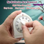 60-Minute Wind-Up Timer with Loud Alarm