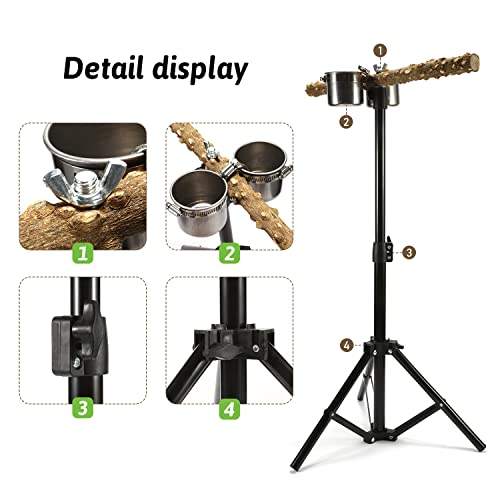 43 INCH Adjustable Parrot Perch Stand with Feeding Bowls