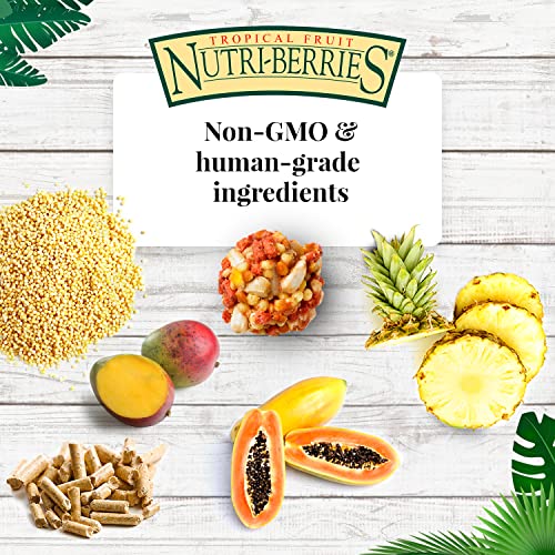 Tropical Fruit Nutri-Berries for Parrots, 3 lb
