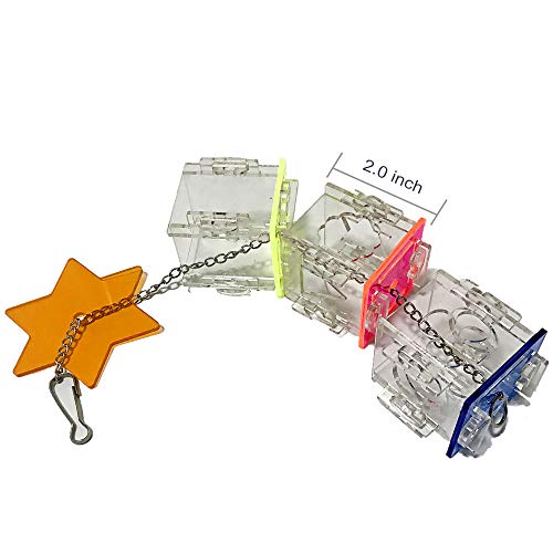 Creative Parrot Foraging Toys & Treat Box