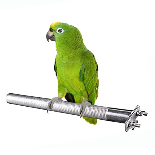 Stainless Steel Parrot Perch with Grinding Stick