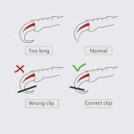 OMEM Bird Nail Clippers with Grinding Nail Scissors Tool Pet Parrot Claw Care (Blue,L)