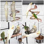 Rolling Parrot Cage - Play Top Stand Included