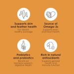 Kaytee Fiesta Parrot Pet Bird Food, 4.5 Pound