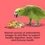 Kaytee Fiesta Parrot Pet Bird Food, 4.5 Pound