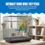 PENN-PLAX Bird-Life Cement Trimmer Bird Perch – Naturally Trims Nails & Beak – Great for Parrots, Cockatoos, Macaws, and Other Large Birds – 10” Long