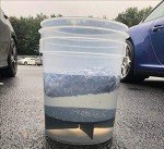 20L Clear Car Wash Bucket with Grit Guard