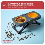 Downtown Pet Supply Raised Dog Bowl - Portable Feeder for Travel - Collapsible Silicone Design - 5 Cups Capacity - Lightweight Pet Feeder - Ideal for Small, Medium & Large Dogs - Dog Feeding Station