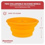 Downtown Pet Supply Raised Dog Bowl - Portable Feeder for Travel - Collapsible Silicone Design - 5 Cups Capacity - Lightweight Pet Feeder - Ideal for Small, Medium & Large Dogs - Dog Feeding Station
