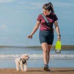 KEWIXY Insulated Dog Travel Water Bottle with Detachable Bowls, 3 in 1 Portable Dog Water Bottle Dispenser, Dog Accessories for Walking, Hiking, Camping, Outdoor (Bright Green, 32 Oz)