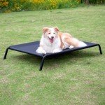 pettycare Elevated Outdoor Dog Bed - Raised Cots Beds for Large Dogs Easy to Assemble, Cooling Lifted Pet Hammock with Durable Breathable Teslin Mesh and Non-Slip Feet, Non-Slip Feet, Black 48"