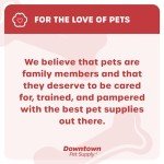 Downtown Pet Supply Raised Dog Bowl - Portable Feeder for Travel - Collapsible Silicone Design - 5 Cups Capacity - Lightweight Pet Feeder - Ideal for Small, Medium & Large Dogs - Dog Feeding Station
