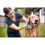 Aquapaw Dog Bath Brush Pro – Sprayer & Scrubber in One – Indoor/Outdoor Pet Grooming Tool for Long & Short Hair – Includes Hose & Shower Attachment