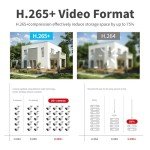 32-Channel 4K NVR with Human & Vehicle Detection