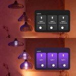 Philips Hue Smart Wall Switch Module Twin Pack. Works with Alexa, Google Assistant and Apple Homekit, Black