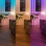 Philips Hue Smart Wall Switch Module Twin Pack. Works with Alexa, Google Assistant and Apple Homekit, Black