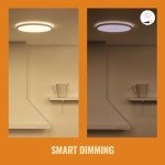WiZ Superslim Tunable White Ceiling Light [16W - White] WiFi Connected LED Lighting for Livingroom, Bedroom, and Home.