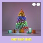 WiZ RGBIC Smart LED Fairy Light with Music Sync, 160 LEDs, 16 Million Colours, 8 Light Zones, Connects to WiFi, Voice/app Control, Works with Google Home, Alexa, LED Lights for Bedroom, Living Room