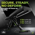 FLYBIRD Adjustable Weight Bench for Full Body Workouts