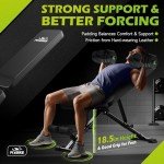 FLYBIRD Adjustable Weight Bench for Full Body Workouts
