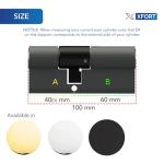 XFORT Brass Euro Cylinder Lock with 3 Keys