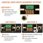 Extra Large Fireproof Waterproof Home Safe Box