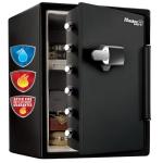 Fireproof Waterproof Safe with Alarm and Keypad