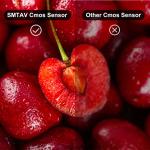 30X Zoom PTZ Camera with AI Tracking