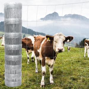 Heavy-Duty Galvanized Farm Fence for Animal Protection