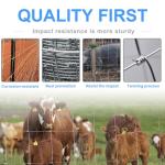Heavy-Duty Galvanized Farm Fence for Animal Protection