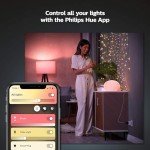 Philips Hue Smart Plug for Home Security Automation