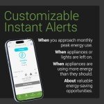 Smart Energy Monitor for Home and Business Security
