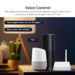 Smart Zigbee Hub for Home Automation & Security