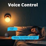 Smart WiFi Light Switch for Home Automation