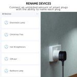 Smart Plug for Alexa & Google Home Control