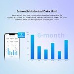 Smart WiFi Power Switch with Energy Monitoring