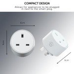 Smart Plug for Alexa & Google Home Control